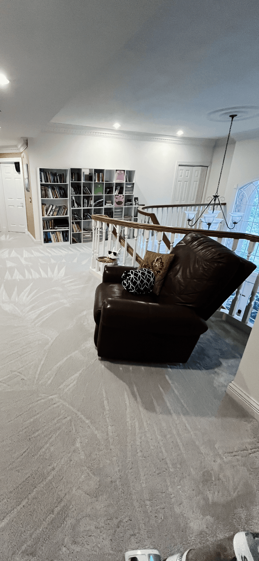 Efficient Carpet Maintenance
